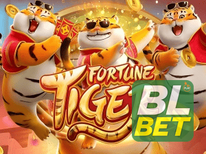 bet_主图